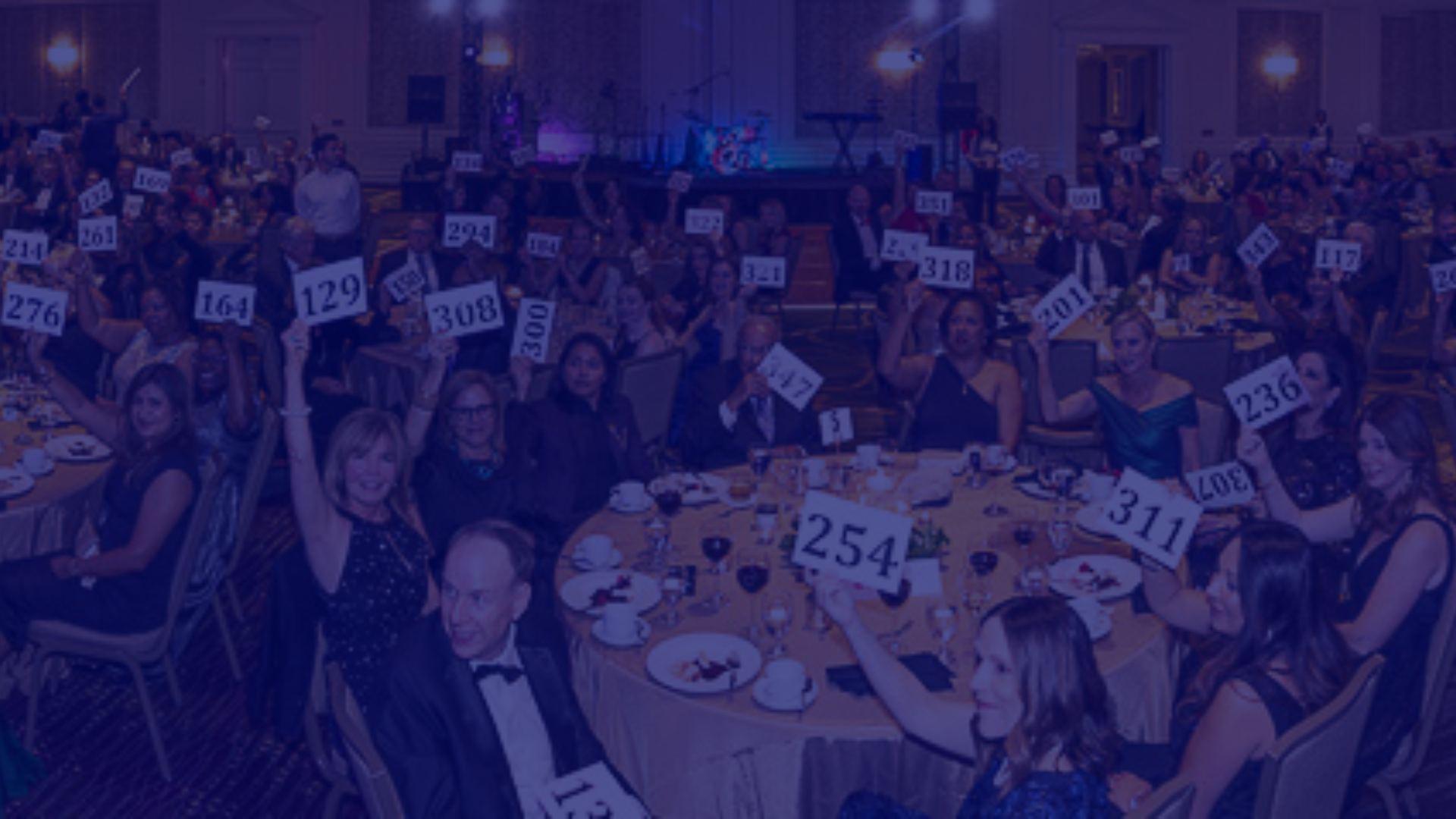 Gala Background Slider