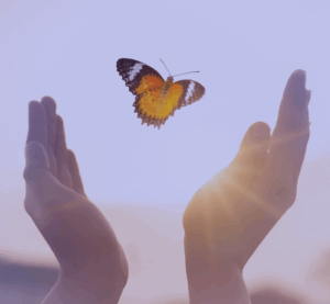 2026 Conference Adapt Rise Thrive 2026 Conference Adapt Rise Thrive